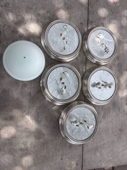 Brushed nickel ceiling lights