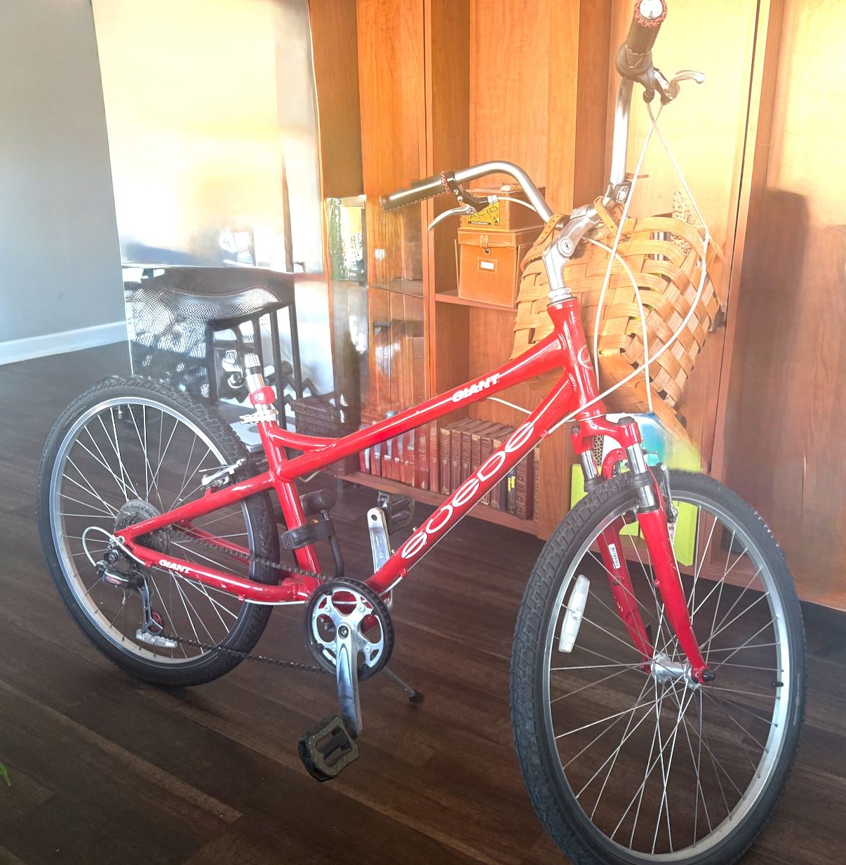 Beautiful Giant Suede Bicycle