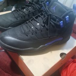 Jordan Retro 12s Size 8 1/2 Dark Concord