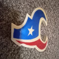 Texans Wall Decor SMALL DESIGN
