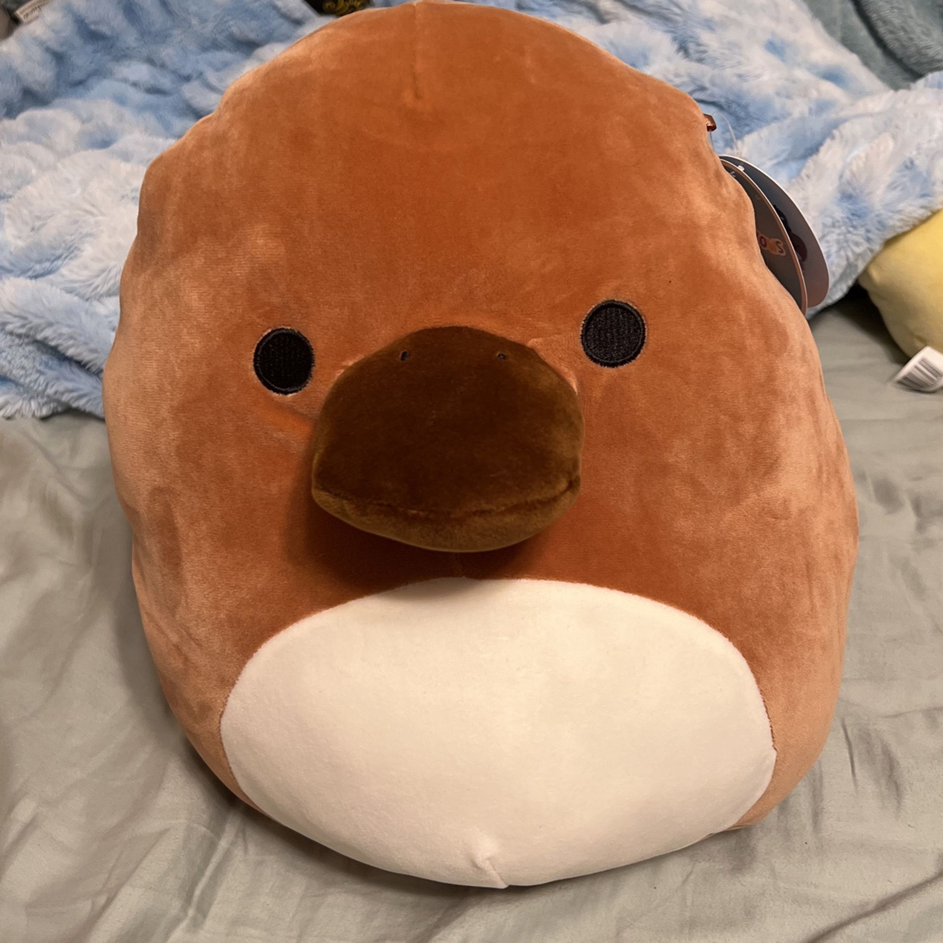 Santino The Platypus Squishmallow