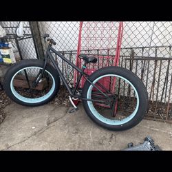 Fat Bike 