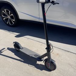 Electric Scooters