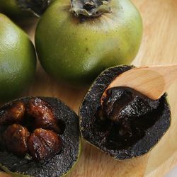 Chocolate Pudding Fruit Trees(Black Sapote )