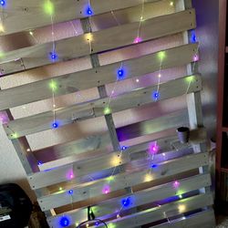 Weathered Grey Pallet Plant Wall w/ fairy lights. 