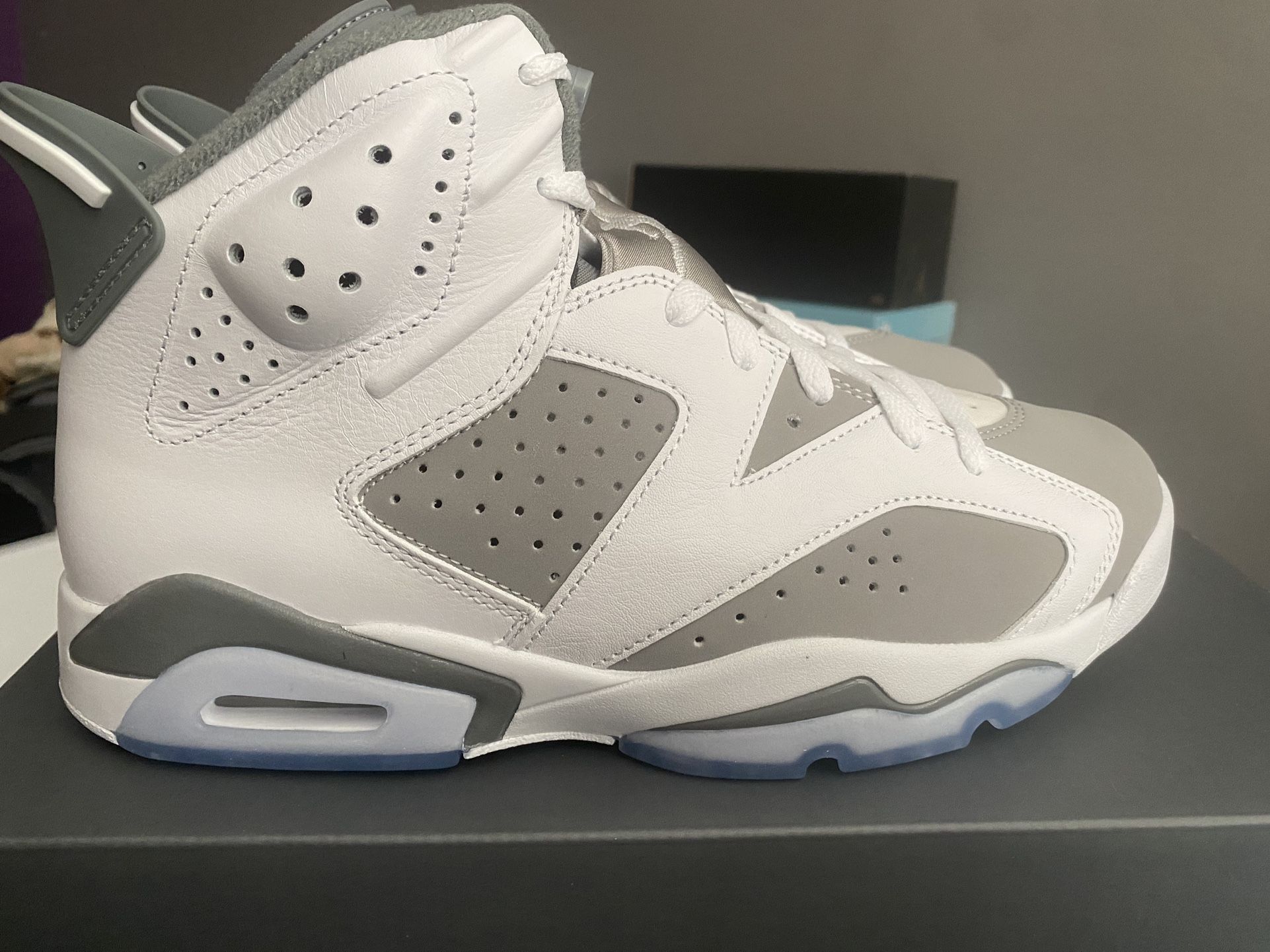 Air Jordan 6 Retro “Cool Grey” size 8.5