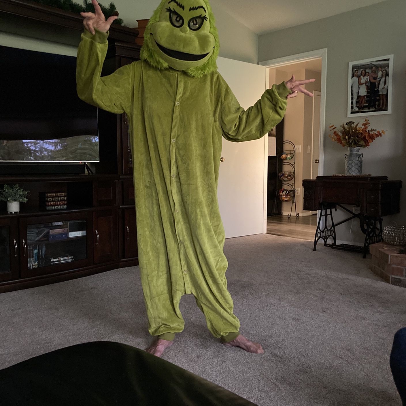 Grinch Costume 