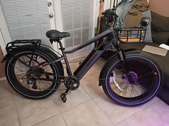 RadRover 6 Plus