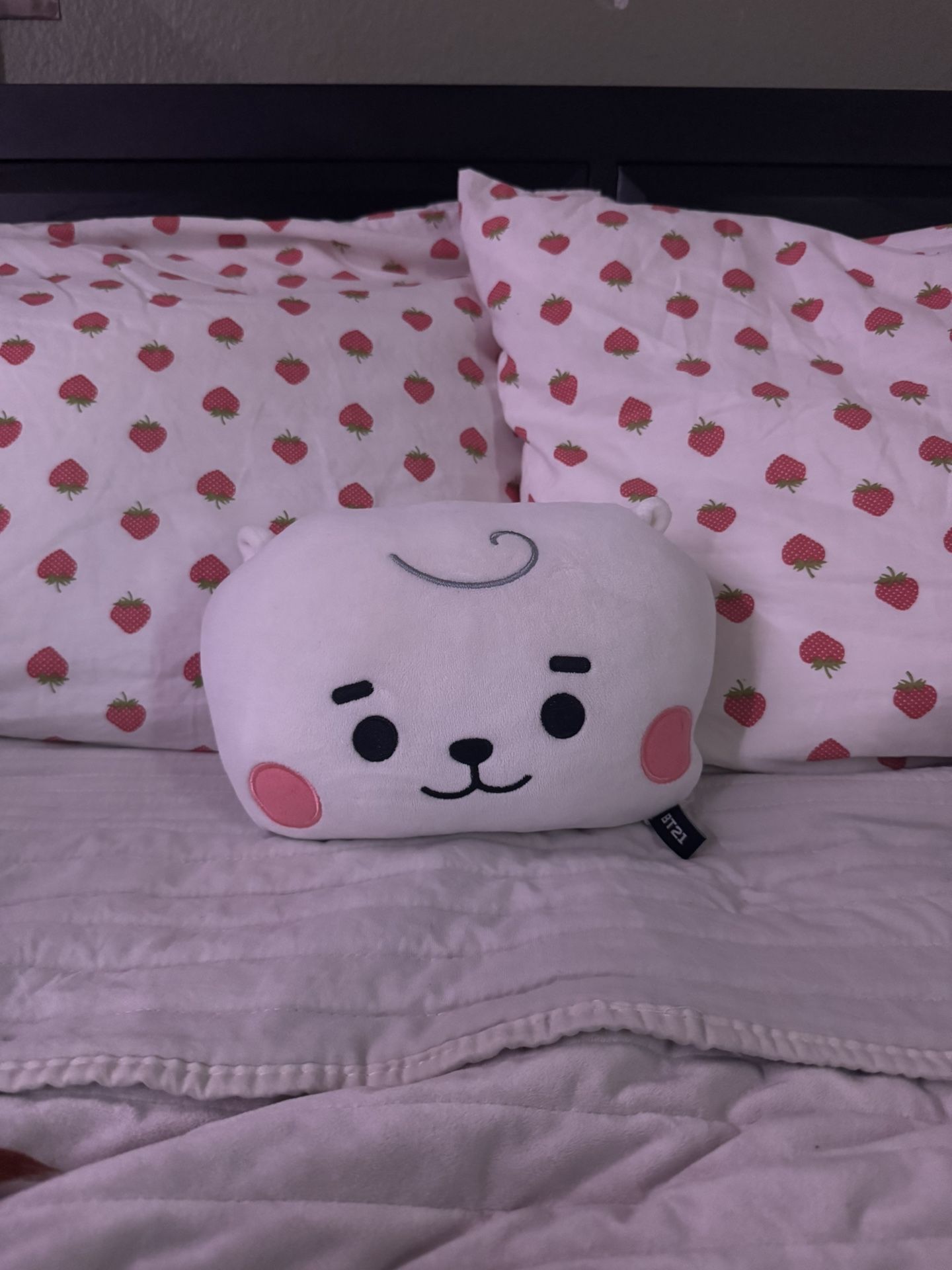 rj plushie - bt21