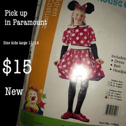 Minnie Mouse costume