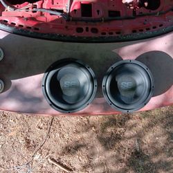 Two 10 Inch Subwoofer 