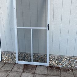 Storm Door 80x 36