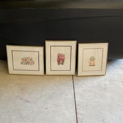 Framed Flower Pictures