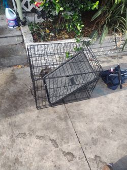 Puppy Pen