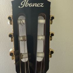 Ibanez Guitar