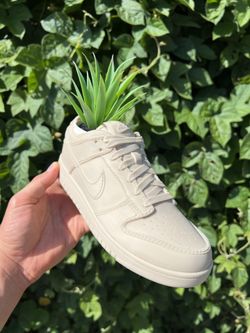 NIKE Dunk Low Sneaker Planter