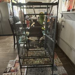 Bird Cage 