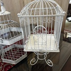 Wedding Or Party Card  Bird Cage And Birdcage Decor