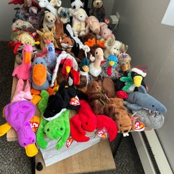 Ty Beanie Babies For Sale 