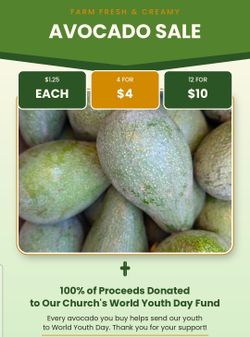 Fresh Avocados 🥑 $1.25