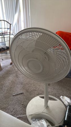 Fan