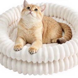Cat Bed