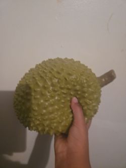 Fresh Whole Durian Fruit