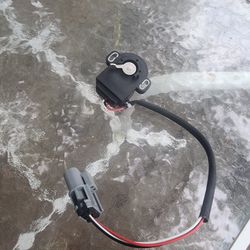 Intermotor Throttle Position Sensor