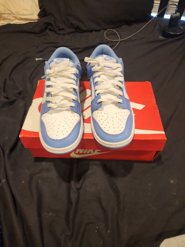 Nike Dunk Light Blue