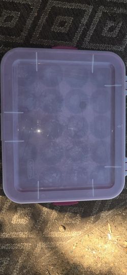 Sterlite Ornaments Container 