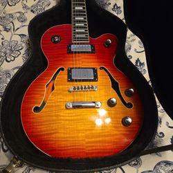 Epiphone Hollow Body