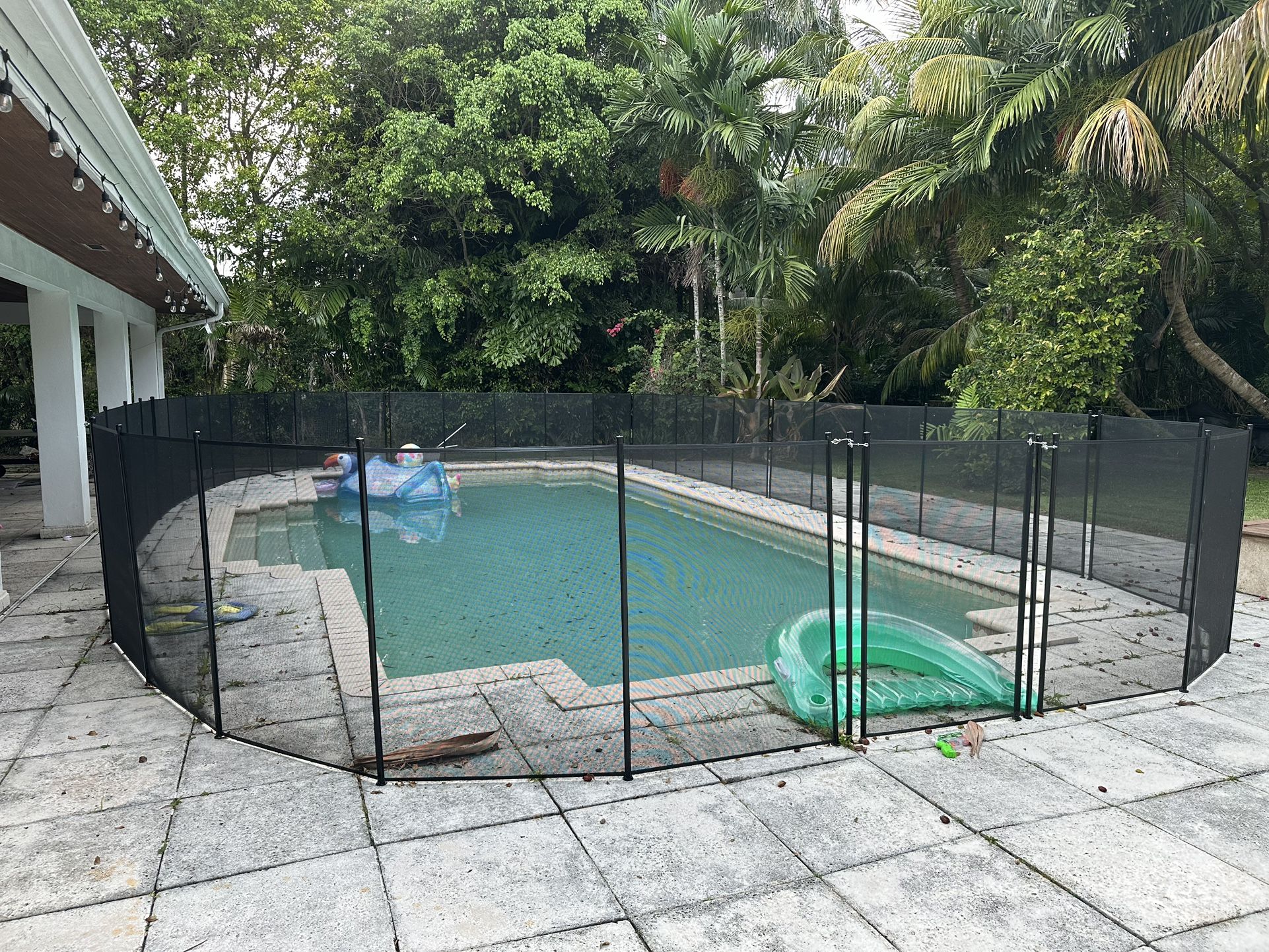 Pool Fence 