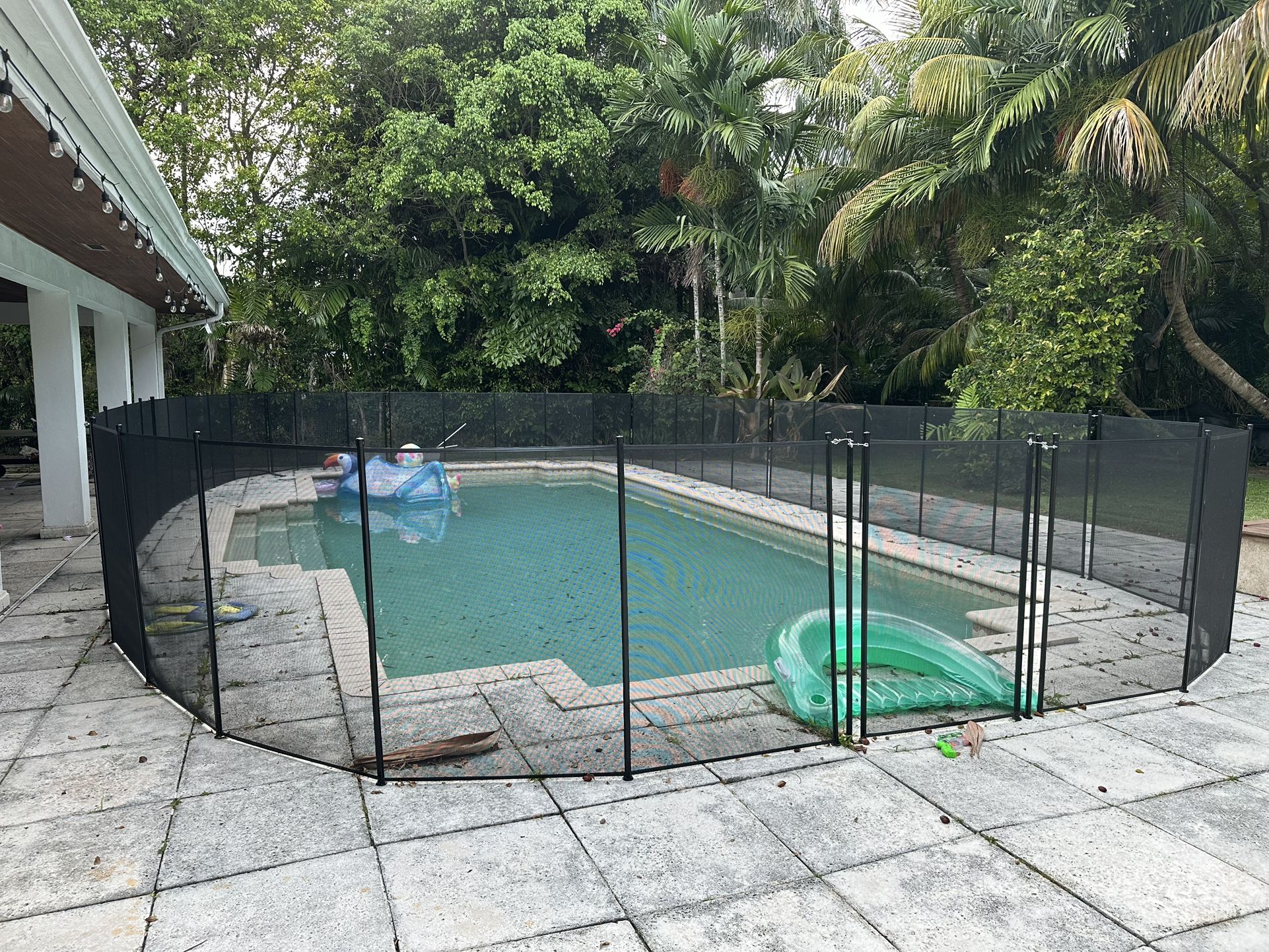 Pool Fence