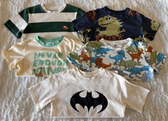 Toddler Boy Shirt Bundle