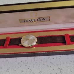 Omega Seamaster Incabloc