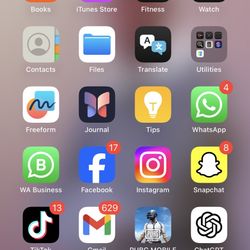 16 Pro Max 256 G Tik Tik