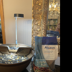 Aquascape AquaGarden Tabletop Water Garden / Fountain Kit