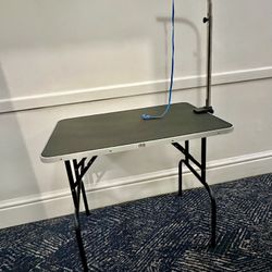 Pet Gooming Table 