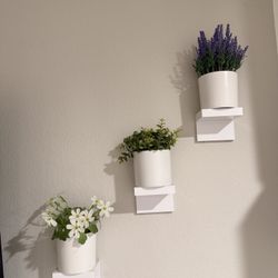 Wall Shelves & Plants