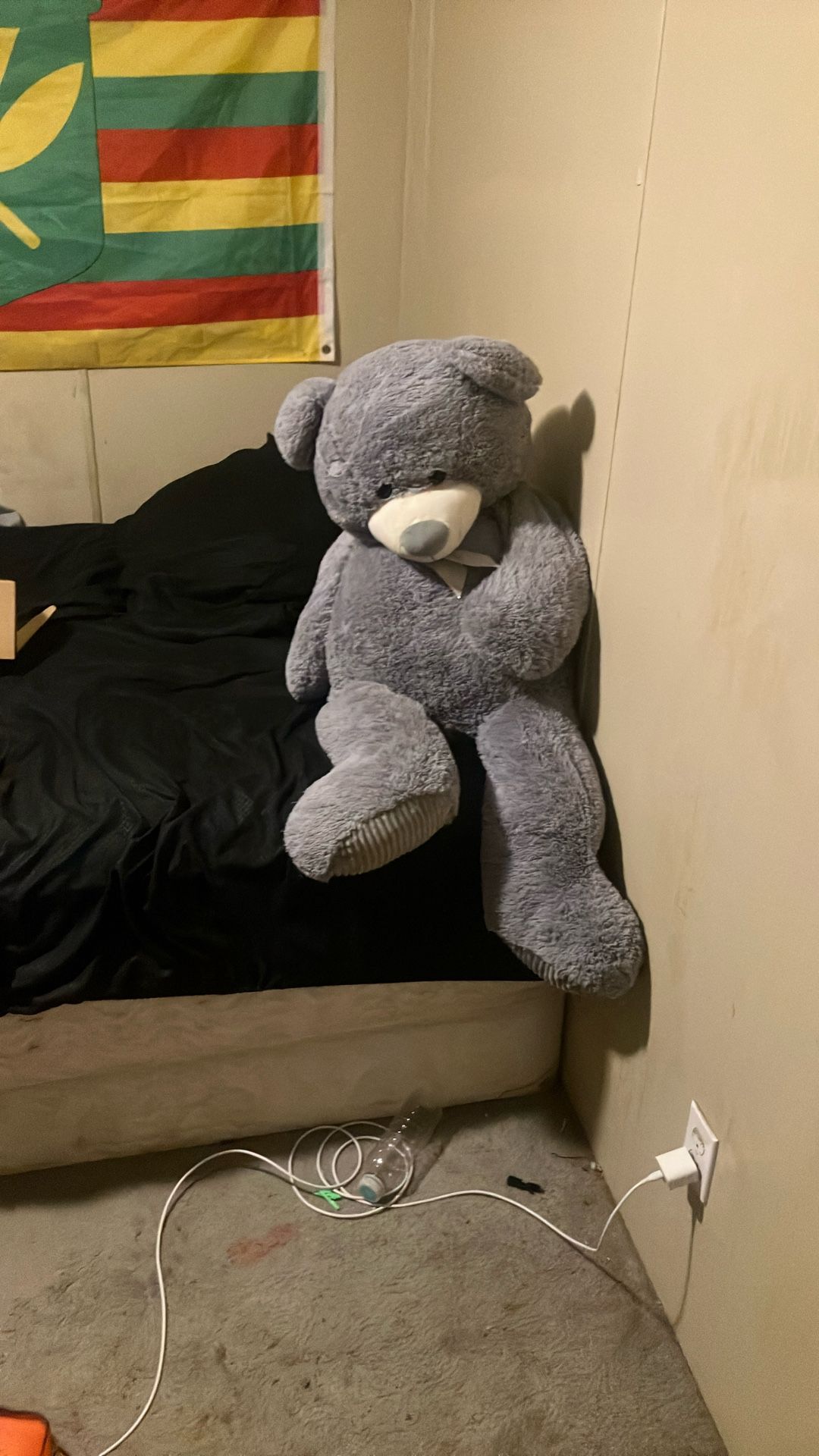 Big Teddy Bear For Sale Pickup Only Cash Only