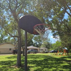 FREE Lifetime Basketball Goal