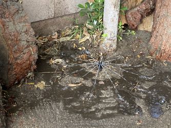 Sprinklers