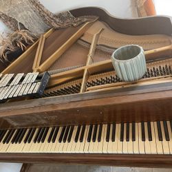 Reduced To $200 For Everything 