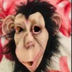 Monkey mask