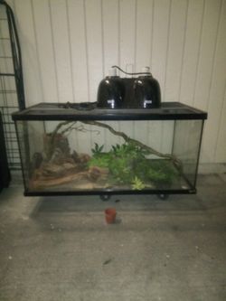 Large Aquarium With Heat Lamp For Reptiles