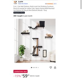 Cat Wall Mounted Toy (new)