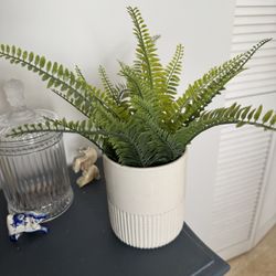 Artificial Plant With Pot