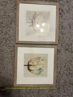 Two 17” square tulips watercolor frames prints