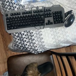 Keyboard & Mouse 