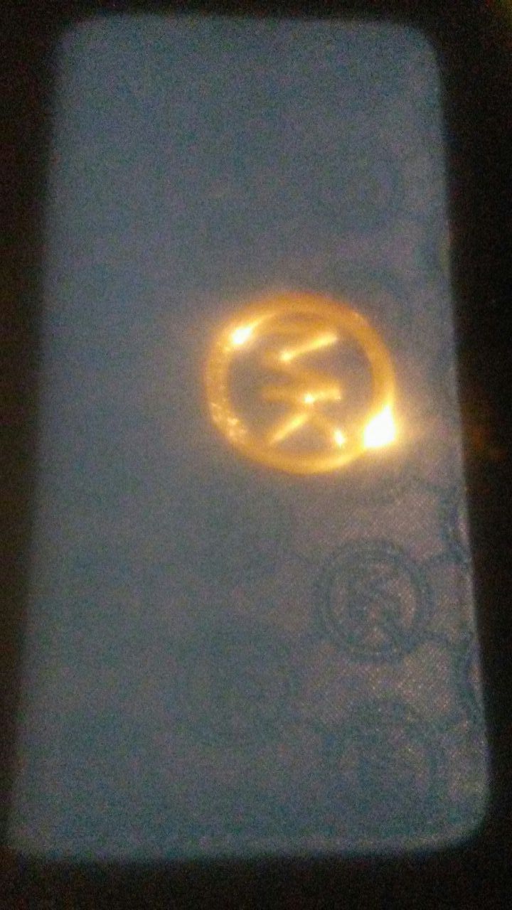 Michael Kors purse
